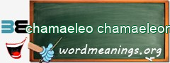 WordMeaning blackboard for chamaeleo chamaeleon